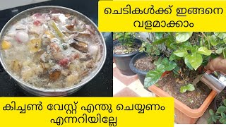 ചെടികൾ നന്നായി വളരാൻ ഞാൻ ചെയ്യുന്നത് 👍👍.. #shortsvideo #garden #kitchen #plants #gardeningtips