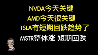 NVDA、amd今天都很重要，有回跌趋势，值得留意！TSLA也是短期见顶回跌，值得留意；，mstr整体看涨趋势，但是短期有开始回跌可能性