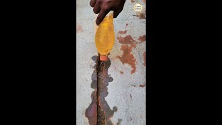 How to prevent Rain Water Leakage? | Tamil | Jailer | Tamil Jailer