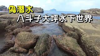 基隆 旅遊|偽潛水八斗子大坪海岸水下攝影