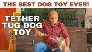 The Best Dog Toy Ever |  NEW PUPPY ESSENTIALS |  TOYS FOR DOGS