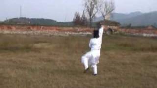 China Kungfu - Wudang Horsewhisk  - Taiyi Fuchen - Master Chen Shixing