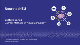 NeurotechEU - Visualizing extracellular neuotransmitter dynamics