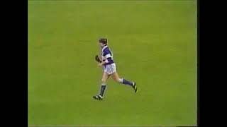 Laois v Wexford 1988 Leinster SHC