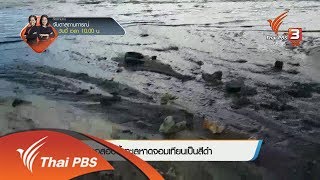 ตรวจสอบน้ำทะเลหาดจอมเทียนเป็นสีดำ (7 พ.ค. 61)