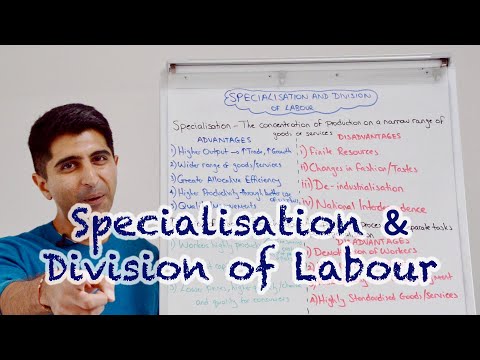 What factors underlie whether specialization in production will be partial or complete on an international basis?