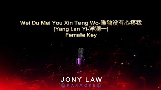 Wei Du Mei You Xin Teng Wo唯独没有心疼我 ( Yang Lan Yi 洋澜一)-Karaoke Female- No Vocal