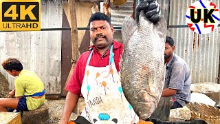 KASIMEDU SELVAM FISH CUTTING | FISH CUTTING SKILLS | FISH CUTTING VIDEOS #kasimedu | UK SONS MARINE