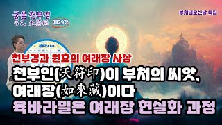 궁을 천부경 29 - 천부경과 원효의 여래장/천부인(天符印)이 부처의 씨앗,여래장(如來藏)/육바라밀은 모든 중생에 심어져 있는 여래장을 활성화하는 과정