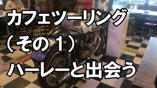 【モトブログ】カフェツーリング（その1）女性ハーレーライダー集団に出会う　夫婦でモトブログ