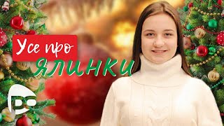 Зірка зимових свят: новорічна ялинка! Вікторія Аврамчук / Тема (Хвойні дерева)