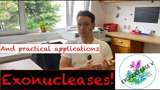 Exonucleases and their practical applications