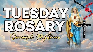 TODAY HOLY ROSARY: SORROWFUL MYSTERIES, ROSARY TUESDAY🌹NOVEMBER 5, 2024 🌹 VIRTUAL #holyosarytoday