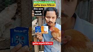 মুরগির ঠান্ডা জ্বর ঝিমানো রোগের চিকিৎসা।#shorts #chicken #trending #মুরগির