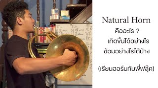 Naturalhorn คืออะไร? | เรียนฮอร์นกับพี่ฟลุ๊ค