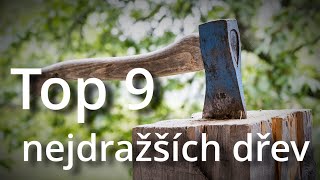 Nejvzácnější dřeva světa: Top 9 nejdražších druhů