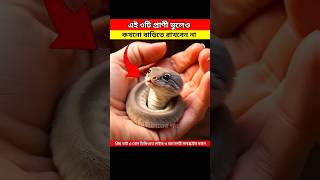 ভুলেও এই ৩টি প্রাণী বাড়িতে রাখবেন না 😱 Don Keep These 2 Animal At Home #shorts #facts #shortvideo