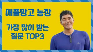 애플망고 농장 가장 많이 물어보는 Q\u0026A TOP3