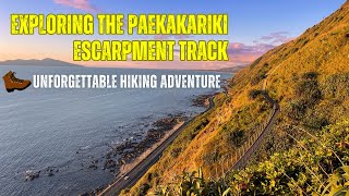 Hiking the Stairway to Heaven: Paekakariki Escarpment Track | Wellington, New Zealand Ep.02