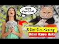 5 CIRI KUCING PEMBAWA HOKI KE RUMAH KITA |TANDA KUCING PEMBAWA RIZKI & KUCING PEMBAWA KEBERUNTUNGAN