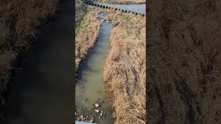 river in south korea