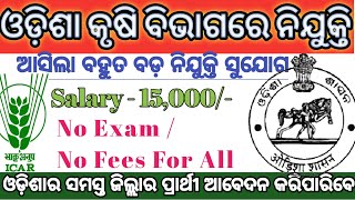 ଓଡ଼ିଶା କୃଷି ବିଭାଗରେ ନିଯୁକ୍ତି! Odisha Govt Jobs 2021 ! Today Job Updates in Odisha 2021 ! #JobOdisha