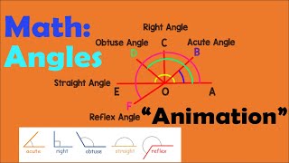 ANGLE | Mathematics Animation