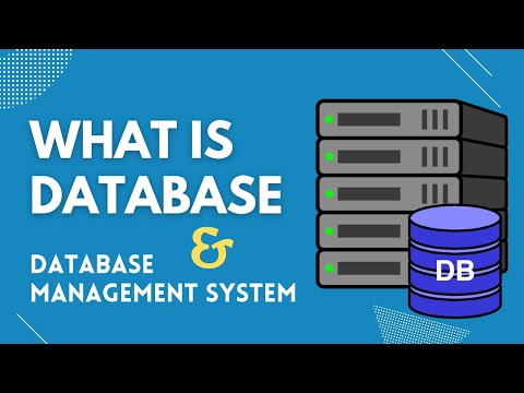 What is database system in DBMS?