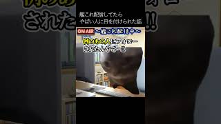 【猫ミーム】艦これ配信してたらやばい人に目を付けられた話　#猫ミーム #猫マニ #shorts #Vtuber #艦これ  #チピチピチャパチャパ #まるゆ提督