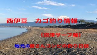 沼津釣り場紹介　沼津サーフ