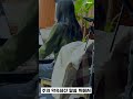 주의약속하신말씀위에서 shorts 예손교회 주일예배 찬양 ccm