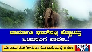 ಸಾವಿರಾರು ವಾಹನ ಓಡಾಡೋ ಮಾರ್ಗದಲ್ಲಿ ಆನೆ ಕಾಟ..! | Charmadi Ghat | Public TV