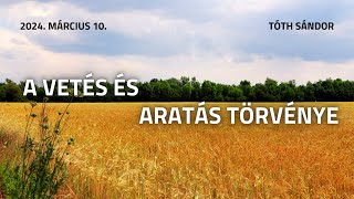 Tóth Sándor - A vetés és aratás törvénye