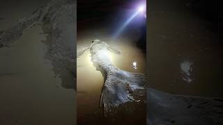 Mermaid Discovered Washed Up On The Jamaican Shoreline