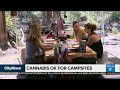 Parks Canada to allow cannabis on campsites