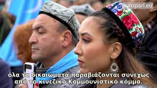 Sakharov Prize 2019 The Fight Of Imprisoned Uyghur N