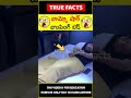 china amazing technologies explained factsintelugu 😲టెక్నాలజీ😲 amazingfacts truefacts shorts