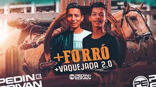 Pedin e Edivan - CD +FORRÓ +VAQUEJADA 2.0 - 2024