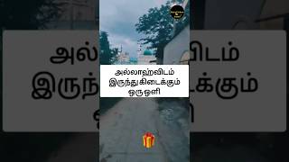 26 வது நாள் கேள்வி அல்லாஹ்விடம் இருந்து கிடைக்கும் ஒரு ஒளி #தாருல்இஸ்லாம்