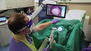 Cervical Rotating Biopsy Punch & LLETZlearn® Training Simulator in Conjunction w