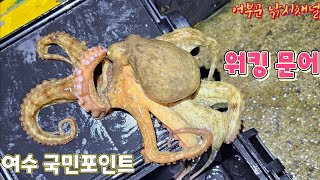 여수 문어 낚시 (국민포인트 워킹 문어낚시)