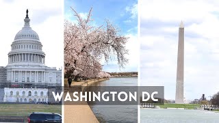 Top Things to Do in Washington DC | US Travel Diary | Cherry Blossom Festival