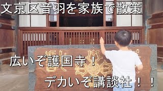 都会のオアシス文京区で音羽周辺を散策♪広いぞ護国寺！デカいぞ講談社！【散歩動画ダイジェスト】