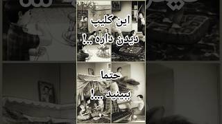 چقدر زود این دوران زیبا گذشت...🥺 حیف..😭 #کودکی#زمستان#برف#نوستالژی#افسوس#غم#ترند#موسیقی#trend#short