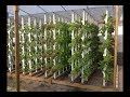 How to , Green House and Vertical Hydroponic System.