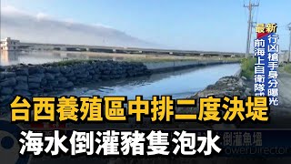 台西養殖區中排二度決堤 海水倒灌豬隻泡水－民視台語新聞