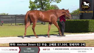 OBS 2세마 HIP 51 암