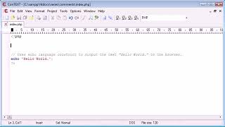 Beginner PHP Tutorial 13 comments