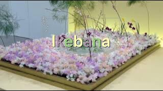 Ikebana Spring Exhibition #Ikenobo Flower Exhibition in  KYOTO JAPAN