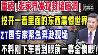 突发！张家界惊现一处神秘洞穴！里面的东西轰动全球！二十多个国家专家赶往现场，没想到刚下车人就惊呆了！